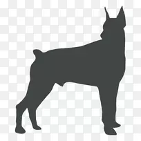 犬种非运动团体拳击手瑜伽犬