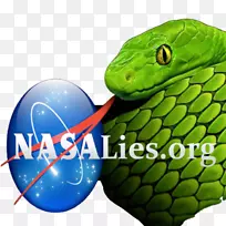 NASA徽章航天飞机挑战者灾难组织-非营利组织