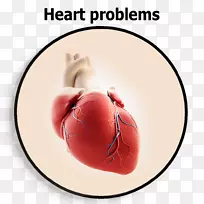 心脏病学，心脏外科，心脏心血管疾病，健康-健康