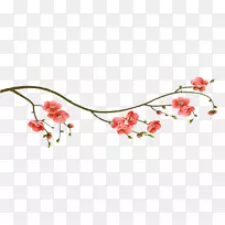 樱花枝花卉设计-樱花枝