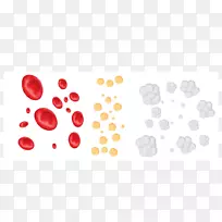 白细胞血小板-血细胞