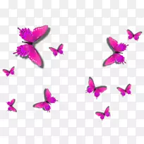 粉红蝴蝶粉刷墙面地毯