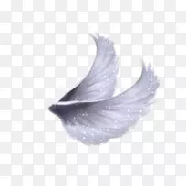 天使翅膀羽毛-弗里达卡洛