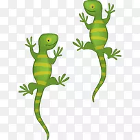 蜥蜴绿色蜥蜴儿童动物画-蜥蜴