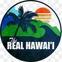 真正的夏威夷，冲浪巴士-北岸活动旅游，真正的夏威夷旅游，照明为教育，夏威夷环岛旅游-夏威夷岛