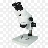 立体显微镜解剖操作显微镜光学显微镜