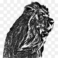 狮体毕尔巴鄂大猫狮