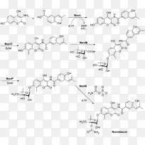 novobiocin化学合成利福平磺胺嘧啶排泄