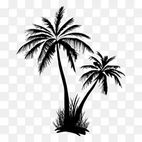 Palma Elche-椰子岛