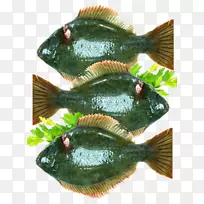 罗非鱼产品鲈鱼比目鱼