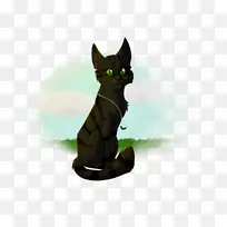 黑猫科拉特猫须-小猫