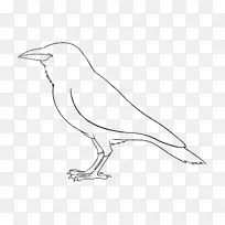 魔幻画线艺术如何画一只老鼠素描鸟