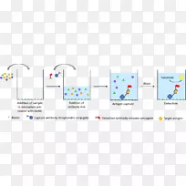 ELISA链霉素辣根过氧化物酶免疫测定-生物科学