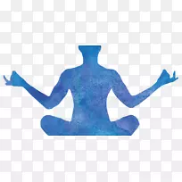 kripalu中心昆达里尼瑜伽莲花姿势冥想瑜伽训练