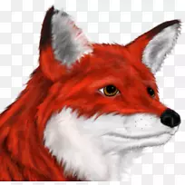 红狐画狐狸赛跑毛皮-狐狸头