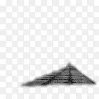 三角摄影金字塔-黑天鹅