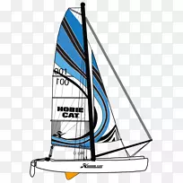 霍比猫双体船帆船赛