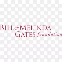 比尔和梅林达盖茨基金会组织财务资助-试验