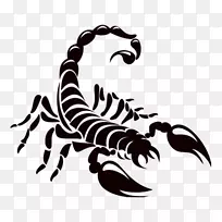 蝎子徽标画.蝎子