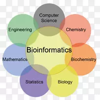 生物信息学计算机科学计算生物学教学方法