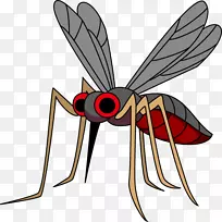 蚊虫登革热虫病西尼罗河热-蚊子