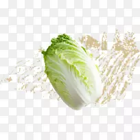 莴苣、卷心菜、春绿、大头菜类蔬菜-大白菜