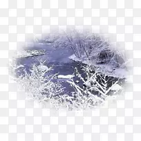 桌面壁纸景观自然雪电脑-冬季景观