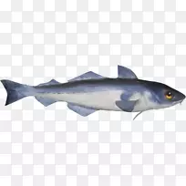 鱼油鱼海洋生物动物鱼