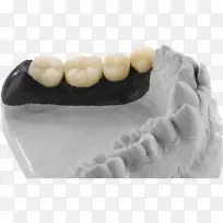 牙科技师牙科实验室解剖-多层膜