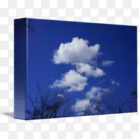 桌面壁纸能源电脑树壁纸蓝天白云