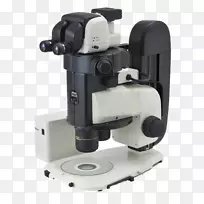 立体显微镜，光学，荧光显微镜，显微镜.实验室