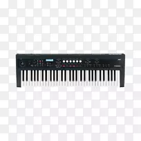 microkorg korg ps-3300 korg ms-20声音合成器.键盘钢琴