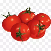 李子番茄灌木丛番茄食品-番茄酱