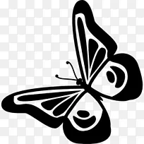 蝴蝶标志-蝴蝶
