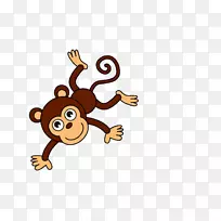 画猴子素描-小猴子
