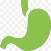 膳食补充剂狗胃肠保健装置-狗