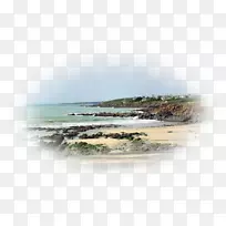 海滩-马古诺海岸-沙洲-板