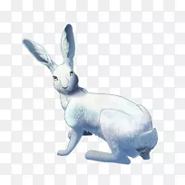 国内野兔动物雕像-冰裂缝