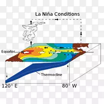 太平洋厄尔尼诺-南部振荡拉尼娜贸易风