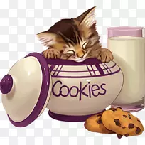 猫须瓷砖