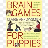 小狗大脑游戏：展示如何通过玩有趣的狗脑游戏来与小狗建立一种强烈的爱的关系。
