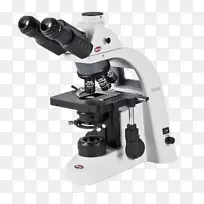 偏光显微镜光学显微镜