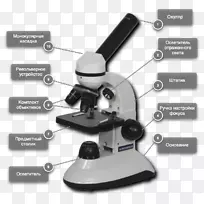 显微镜放大医学设备知识显微镜