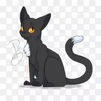 黑猫科拉特小猫五爪胡须-小猫