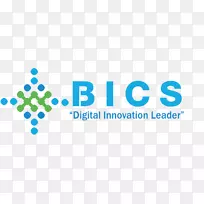 BICS全球法律学院学生教育-学校