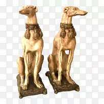 意大利灰狗鞭犬西班牙灰狗品种