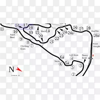 弗吉尼亚国际赛车跑道丹维尔保险丝-迈凯轮p1 gtr