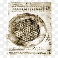 重叠圆圈，网格，神圣几何学，Vinci符号科学家-松果体