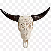得克萨斯州长角人头骨象征公牛动物头骨长角头骨