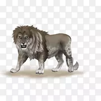 狮子艺术画虎猫科-狮子